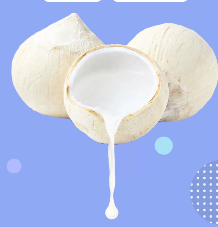 Kókuszpálma kókusztej 245 ml (Yeshu)