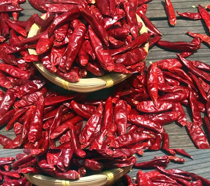 FISHWELL dried chilies 100g