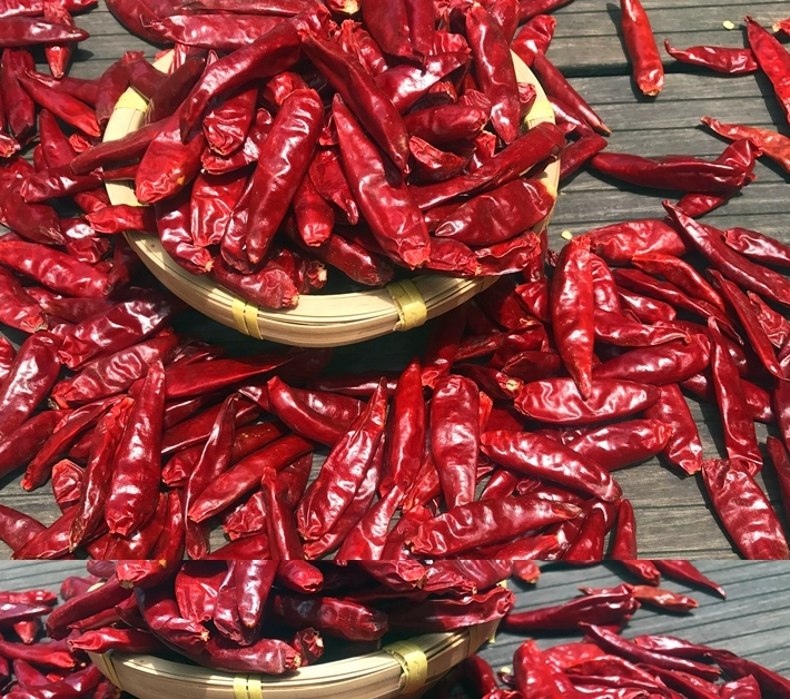 TRS dry chili 50g