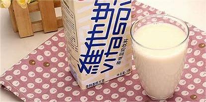 Vita Soy Milk 250ml