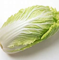 Kínai káposzta(Chinese Cabbage) 1db