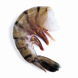 16/20 black tiger shrimp without head and shell, large 1kg